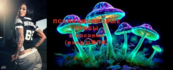 МДПВ Алексеевка