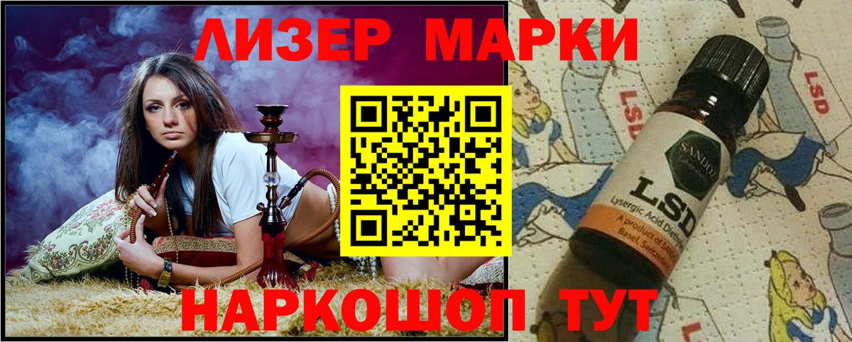 где найти наркотики  Марки NBOMe 1,5мг  Вход с VPN  Ставрополь 