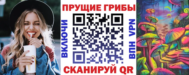 Псилоцибиновые грибы ЛСД  магазин продажи наркотиков  Ставрополь 