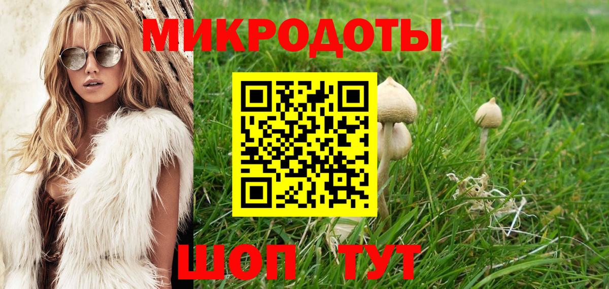 закладки  Вход с VPN  Ставрополь  Галлюциногенные грибы Psilocybe 