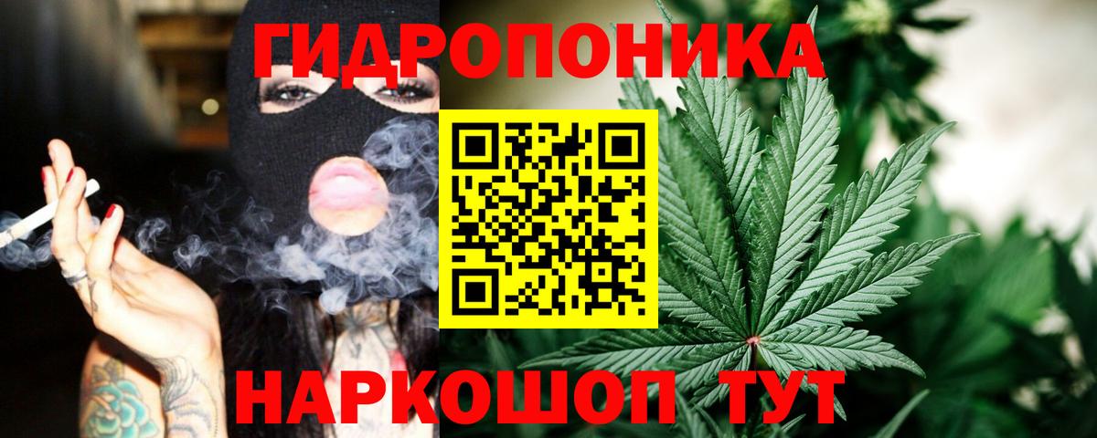 Бошки Шишки ГИДРОПОН  Канабис план  Вход с VPN  Каннабис тримм  Ставрополь  МАРИХУАНА White Widow 